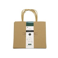 プリントクラフトペーパーバッグ マチ広 19.5×21×マチ11cm 3枚入 (100円ショップ 100円均一 100均一 10…