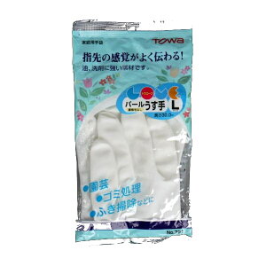 S  LTCY zCg (100~Vbv 100~ψ 100ψ 100)