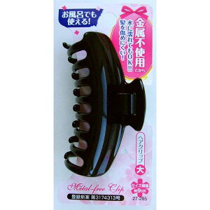 クリップ 大 アクセサリー ジュエリーの人気商品 通販 価格比較 価格 Com