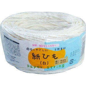 Ђ  50m (100~Vbv 100~ψ 100ψ 100)