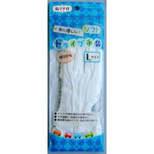 �h���C�u��� �w�}�`�t L�T�C�Y�i23cm�j (100�~�V���b�v 100�~�ψ� 100�ψ� 100��)