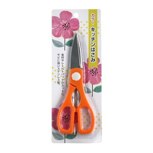 Lb`͂ J[ S20cm mFwsn (100~Vbv 100~ψ 100ψ 100)