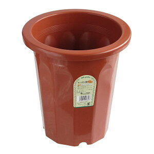 Aؔ PKC 7ia21D3×23cmj uE (100~Vbv 100~ψ 100ψ 100)