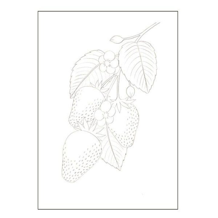 楽天市場 ぬりえ 大人が楽しむぬり絵 花 果物 ８柄 100円雑貨 日用品卸 Bababa
