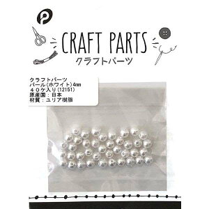 r[Y p[ zCg a4mm 40 Ntgp[c (100~Vbv 100~ψ 100ψ 100)