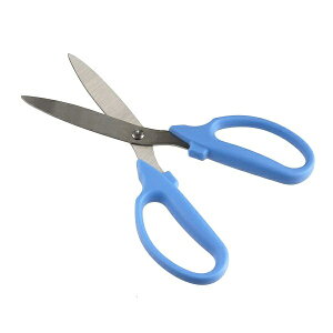 ͂ J[u XeX S16D8cm mFwsn (100~Vbv 100~ψ 100ψ 100)