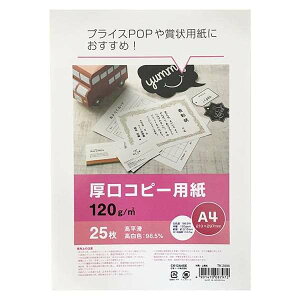 Rs[p A4TCY 25 (100~Vbv 100~ψ 100ψ 100)