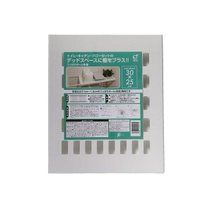 ς_pI 30×25cm (100~Vbv 100~ψ 100ψ 100)