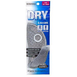 �C���\�[�� �z������ �����p 23�`26cm (100�~�V���b�v 100�~�ψ� 100�ψ� 100��)