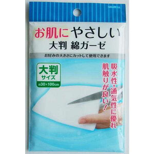 ȃK[[ ɂ₳ 唻TCYi30×100cmj (100~Vbv 100~ψ 100ψ 100)