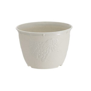 Aؔ rIfR zCg 7ia21×15cmj (100~Vbv 100~ψ 100ψ 100)