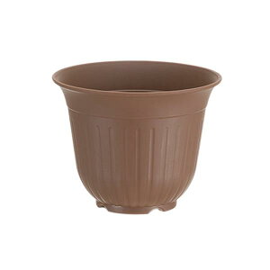 Aؔ t[|bgm `RuE a24D2×19cm (100~Vbv 100~ψ 100ψ 100)