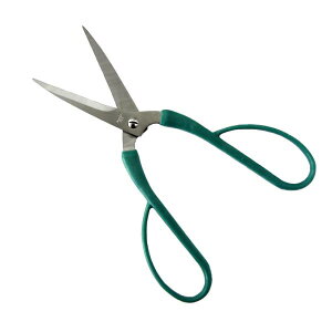 t[͂ XeX 20cm (100~Vbv 100~ψ 100ψ 100)