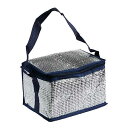 保温・保冷バッグ 350ml缶6本用 21×14×高さ14cm (100円ショップ 100円均一 100均一 100均)
