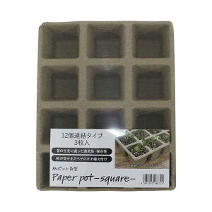 |bg p^ 12A^Cv 21×17×4.5cm 3 (100~Vbv 100~ψ 100ψ 100)