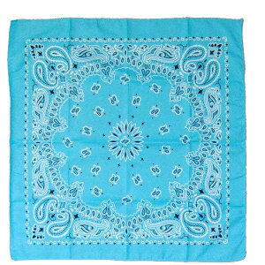 o_i Cgu[ 53×53cm (100~Vbv 100~ψ 100ψ 100)