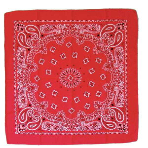 o_i bh 53×53cm (100~Vbv 100~ψ 100ψ 100)