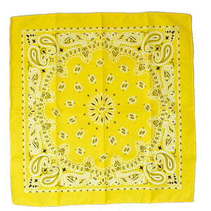 o_i CG[ 53×53cm (100~Vbv 100~ψ 100ψ 100)