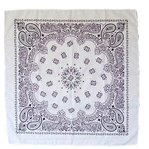 o_i zCg 53×53cm (100~Vbv 100~ψ 100ψ 100)