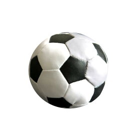 ソフトサッカーボール 9.8cm (100円ショップ 100円均一 100均一 100均)