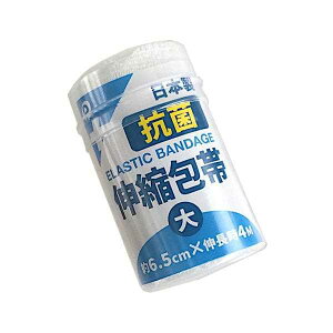 Lk R (6.5cm×L4m) (100~Vbv 100~ψ 100ψ 100)