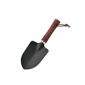 ڐA ؕ ~fB^Cv  24cm qt (100~Vbv 100~ψ 100ψ 100)