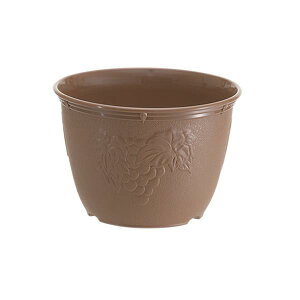 �A�ؔ� �r�I���f�R �`���R�u���E�� 7��(���a21×����14.5cm) (100�~�V���b�v 100�~�ψ� 100�ψ� 100��)