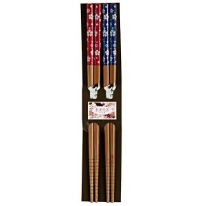  yA 22D5cm 炾 (100~Vbv 100~ψ 100ψ 100)