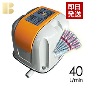 【塩素剤付き】【取り付け部品付き】【会員カード付き】浄化槽エアーポンプ安永AP-40P/合併浄化槽ブロワー,浄化槽ブロア,浄化槽ブロワ,浄化槽ブロアー,送料無料浄化槽ポンプ,浄化槽エアポ