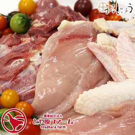 【生肉 鶏肉 1.4kg】 信州黄金シャモ 一羽セット（オス） 産地直送 地鶏 ネプリーグ トロッコアドベンチャー TVで紹介されました 視聴者プレゼント ギフト 贈答 おくり物 プレゼント 産地直送 送料無料