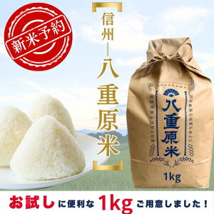 ydāzʉiI \Jn ߘa7NY V  쌧YRVqJ 1L TCY܂邶イ߂Ă舵ISɂقڗʂȂ̕ d ͂|  