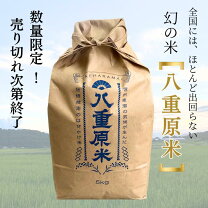 楽天市場】信州 はざかけ米の通販