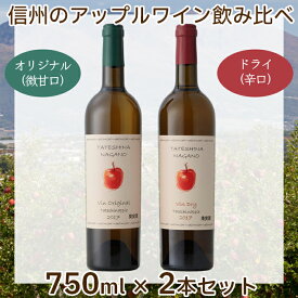 たてしなップル アップルワイン 辛口・微甘口 750ml×2本セット 正規取扱店長野 お酒 りんご ワイン 果実酒 洋酒