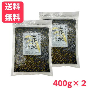 yzÑ 400g×2܎G  тɂ܂ όyY lR|X [ 