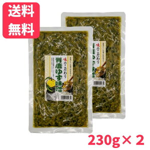 【送料無料】青唐ゆず味噌 230g×2袋 おかず味噌 おにぎりの具 きゅうりに 味噌 青唐 青唐辛子 ゆず ユズ 柚子 信州の味 ご飯のお供 観光土産 おつまみ みそ ミソ 味噌 万能調味料 製造元 信州