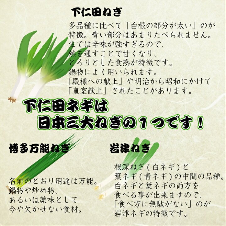 楽天市場 下仁田焼きネギなめ茸 楽天ランキング1位受賞 おうちごはん 信州産えのき使用 下仁田ねぎ使用 ご飯のお供 酒の肴に おつまみ まるじゅう