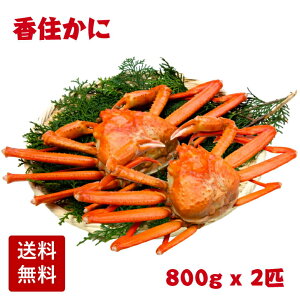 yYn z䥂Ŏp {C ZɁigYCKjjTCY 1.6kg (800gO×2C) 䥂łčZJj 䥂ł ZJj gJj g g킢   v`