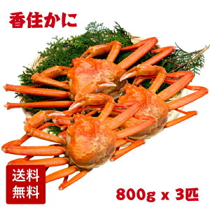 yYn z䥂Ŏp ZɁigYCKjjTCY 2.4kg (800gO×3C) K 䥂ł ZJj 䥂ł ZJj gJj g g킢  