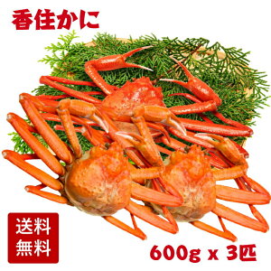 yYn z䥂Ŏp {C ZɁigYCKjjTCY 1.8kg (600gO x 3C) K 䥂ł ZJj  䥂ł ZJj g킢  