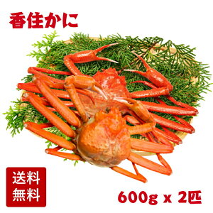 yYn z䥂Ŏp {C ZɁigYCKjjTCY 1.2kg (600gO x 2C) 䥂ł ZJj gJj g g킢 J  v`ґ J