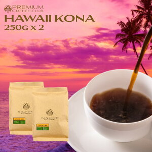 y Ԍ |Cg2{ 10/30 znCRiR[q[ 100 v~A 500g (250g x 2) nCRi 100 S ōNx Ă NxQ H꒼ [   |Xg