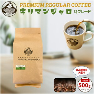 y10/30 |Cg2{zL}Wi^UjAjQO[h 100% M[R[q[ 500g 50t@R[q[  Ɩp ،Ɓ@H꒼ z