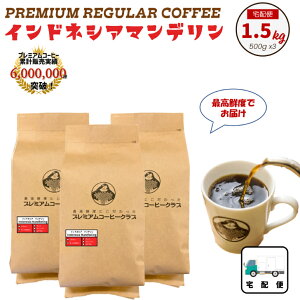 ChlVA}f G-1 1.5kg (500g x 3) ōNx oĊS H꒼ [ R[q[ 蓤   |Cg 