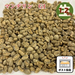 R[q[ ChlVA}f G1  1.2KG 萶 [    |Cg ܂ Ȃ܂܂