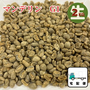 R[q[ ChlVA}f G1  2.0KG 萶 [    |Cg ܂ Ȃ܂܂