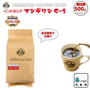 ChlVA}f G-1 500g ōNx oĊS H꒼ [ R[q[ 蓤   |Cg 