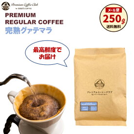 【楽天お買い物マラソン ポイント5倍】完熟グアテマラ 250g 高級珈琲 コーヒー豆 珈琲豆 完全受注焙煎 工場直送 メール便 送料無料 お試し ポイント消化