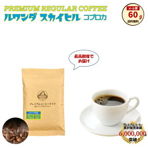 _ XJCq 60g  R[q[ 蓤 S H꒼ [   |Cg