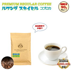 _ XJCq 90g  R[q[ 蓤 S H꒼ [   |Cg