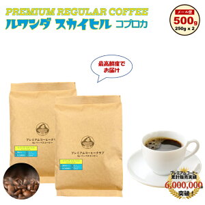 _ XJCq 500g ( 250g x 2 )  R[q[ 蓤 S H꒼ [   |Cg